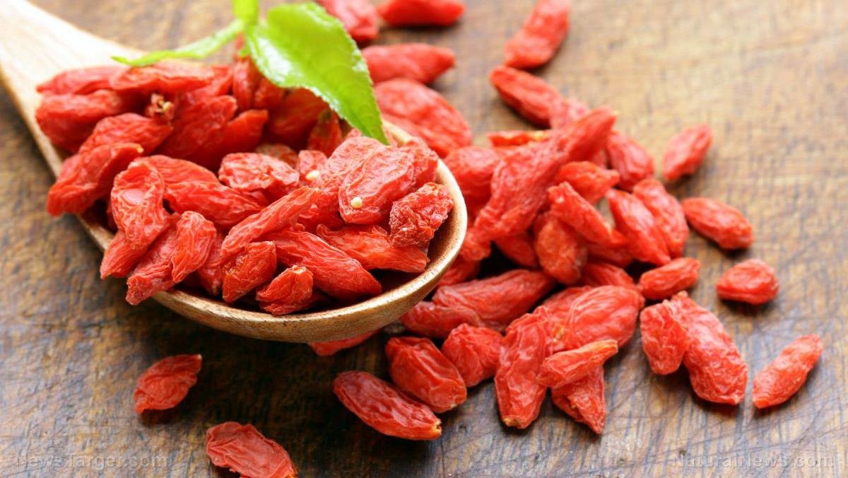 Dried Goji Berries 2