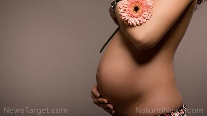 Pregnant Woman Pregnancy