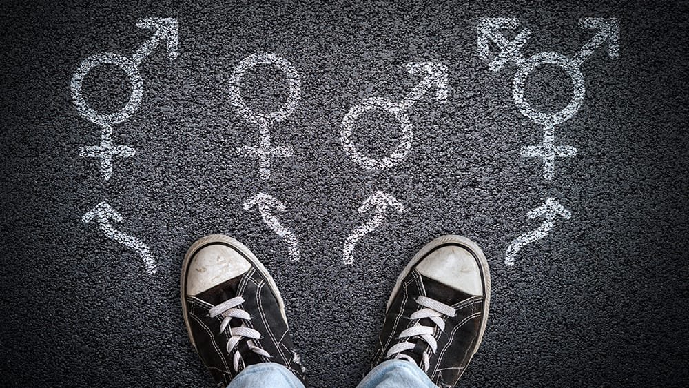 Transgender Gender Dysphoria Child Youth Confusion